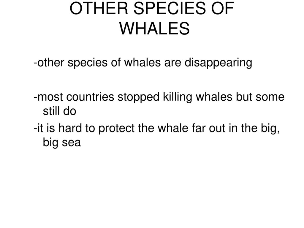 Animals in Danger In the water Chapter ppt download