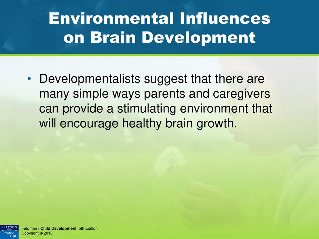 Environmental Influences on Brain Development