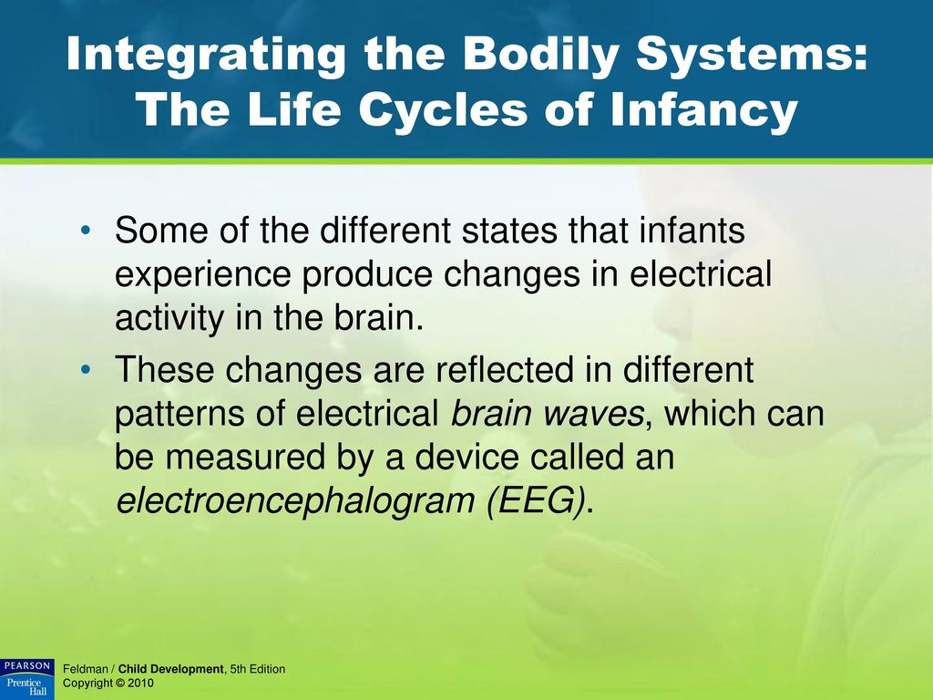 Integrating the Bodily Systems: The Life Cycles of Infancy
