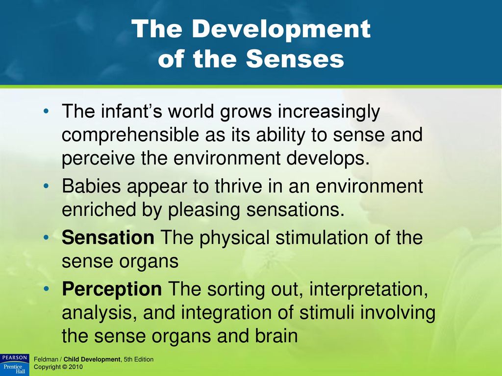 The Development of the Senses