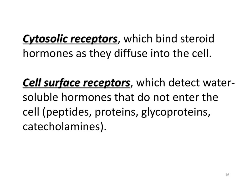 Cytosolic receptors, which bind steroid hormones as they diffuse into the cell.