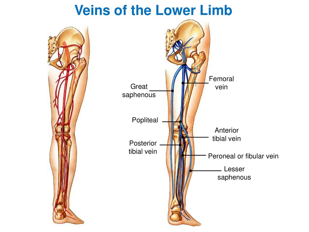 Women missing limbs and sex