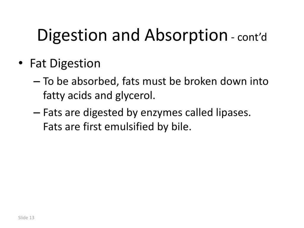 Chapter 23 Digestive System ppt download
