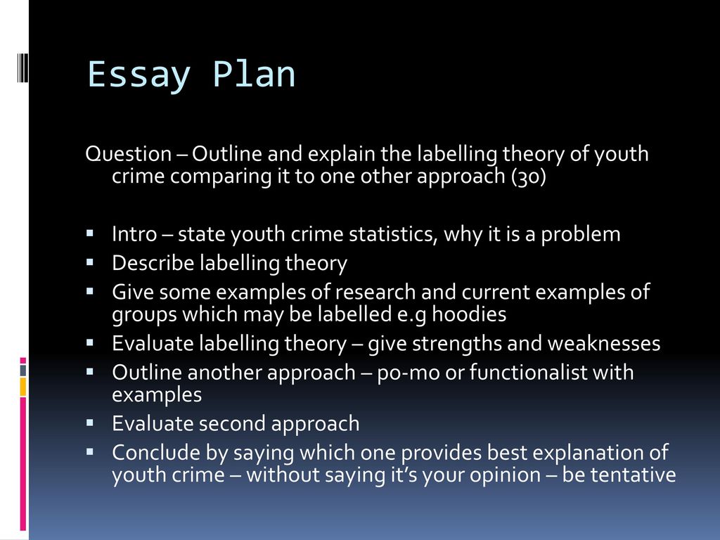 crime in youth essay