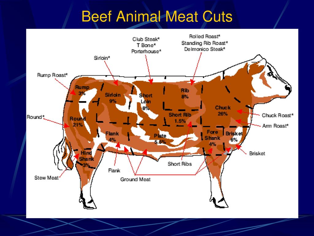 Animals meat. Beef Parts. Meat Cuts говядина. Beef по английскому.