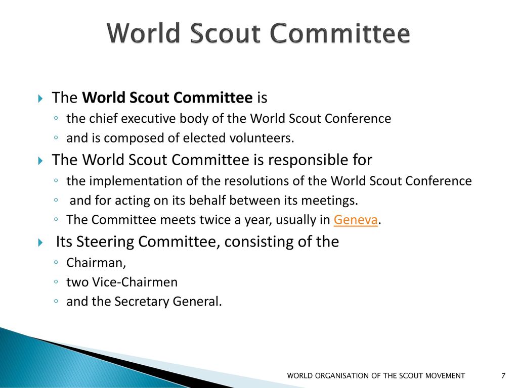 World Scout Committee The World Scout Committee is