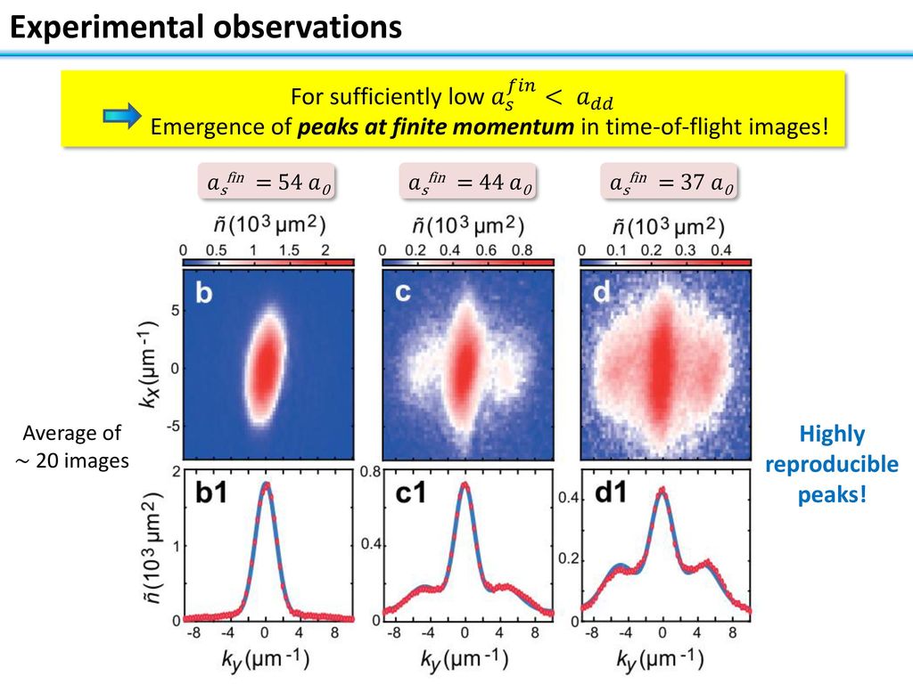 Bose Einstein Condensate Sesto Fiorentino July th Ppt Download