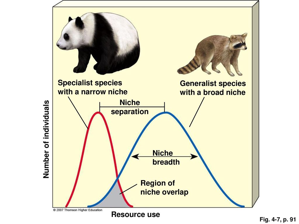 evolution-and-biodiversity-ppt-download