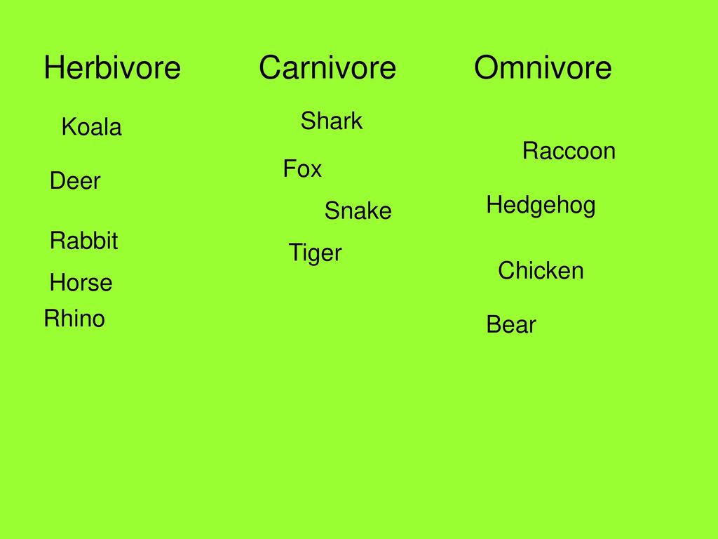 PRODUCERS, CONSUMERS, and DECOMPOSERS - ppt download