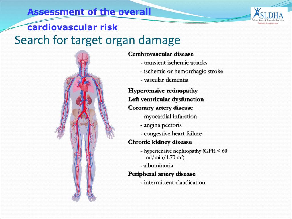 Search for target organ damage