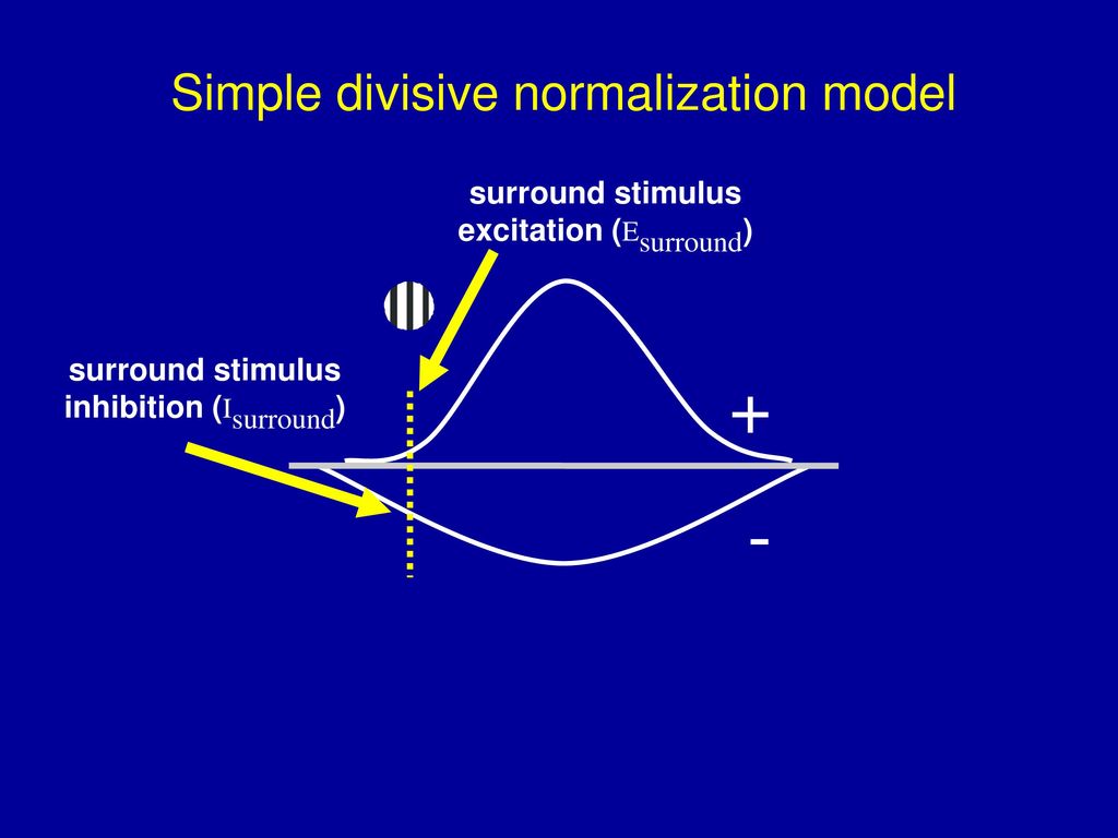 + - Simple divisive normalization model