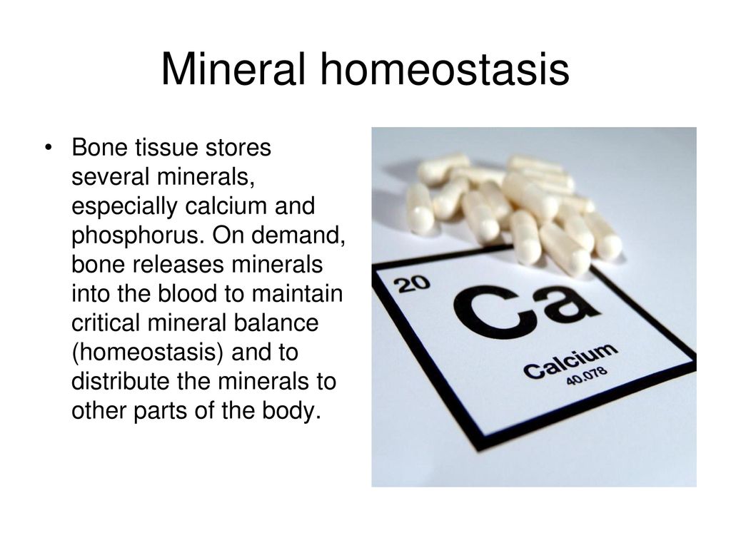 Mineral homeostasis