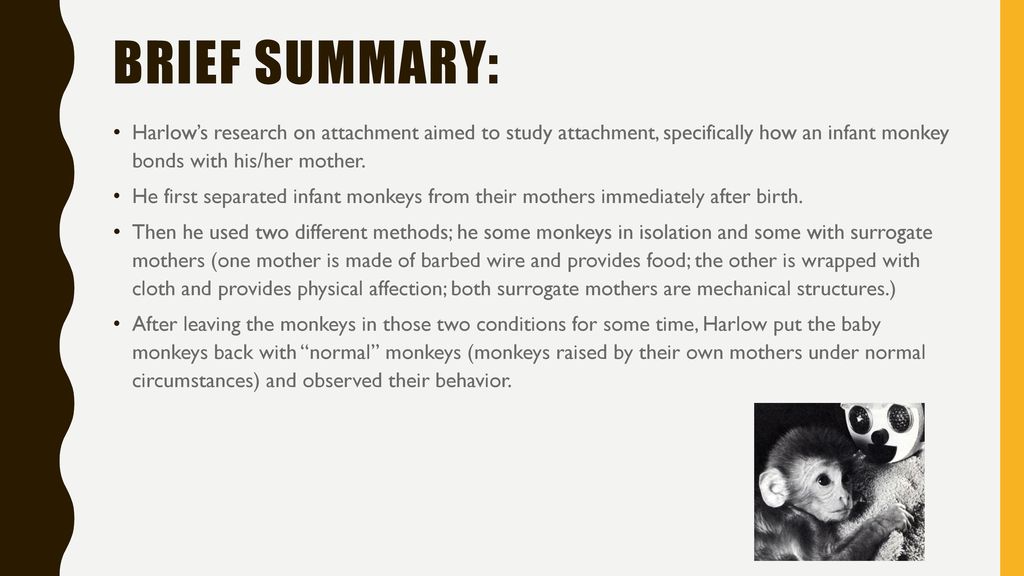 Studies with monkeys find early attachment brings generations of