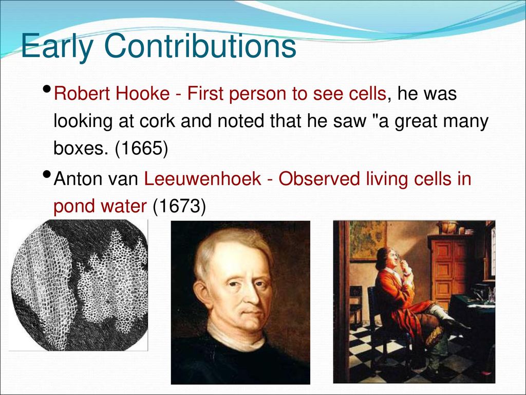 Biology 112 Chapter 7 Cells Ppt Download