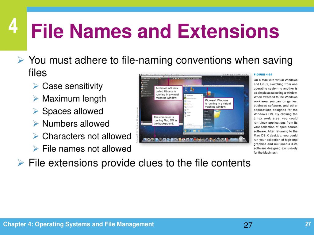 File Names and Extensions