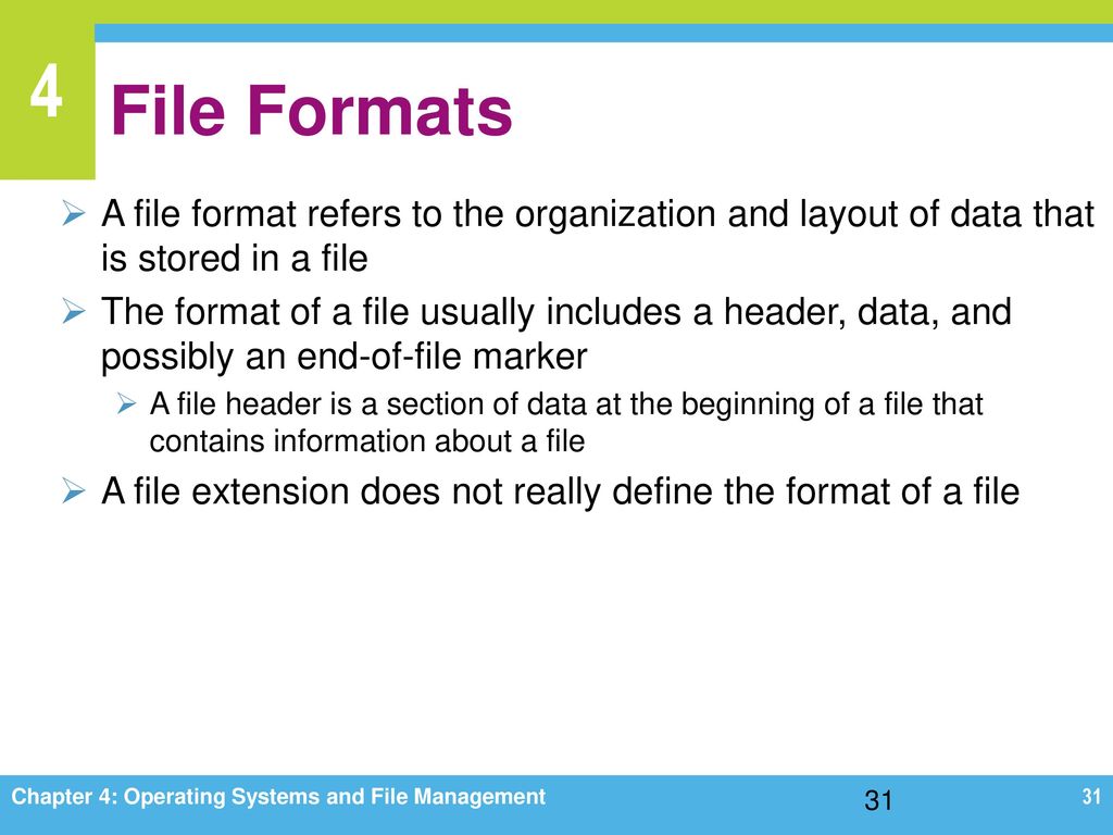 File Formats A file format refers to the organization and layout of data that is stored in a file.
