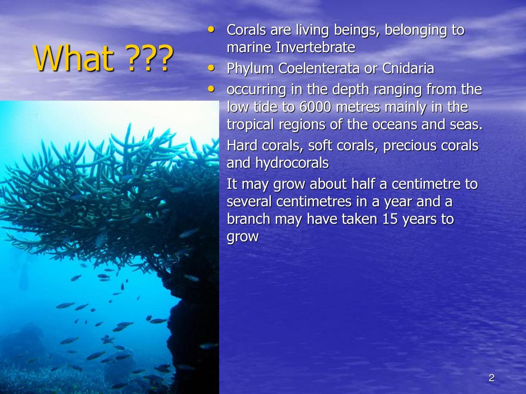 Mapping of Coral Reef Research: A global perspectives - ppt download