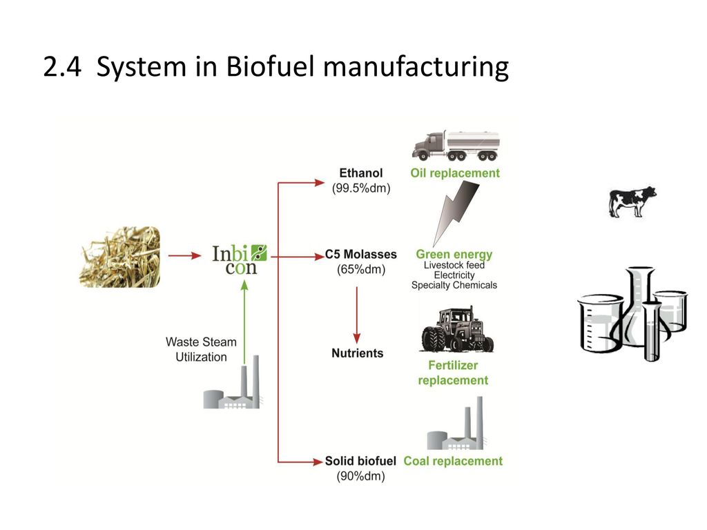 BIOTECHNOLOGY AND GENETIC ENGINEERING – A KEY TO BIO-ECONOMY - ppt download