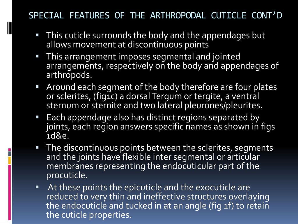 ARTHROPODS INTRODUCTION Arthropods - ppt download