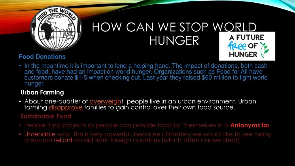 what can we do to stop world hunger
