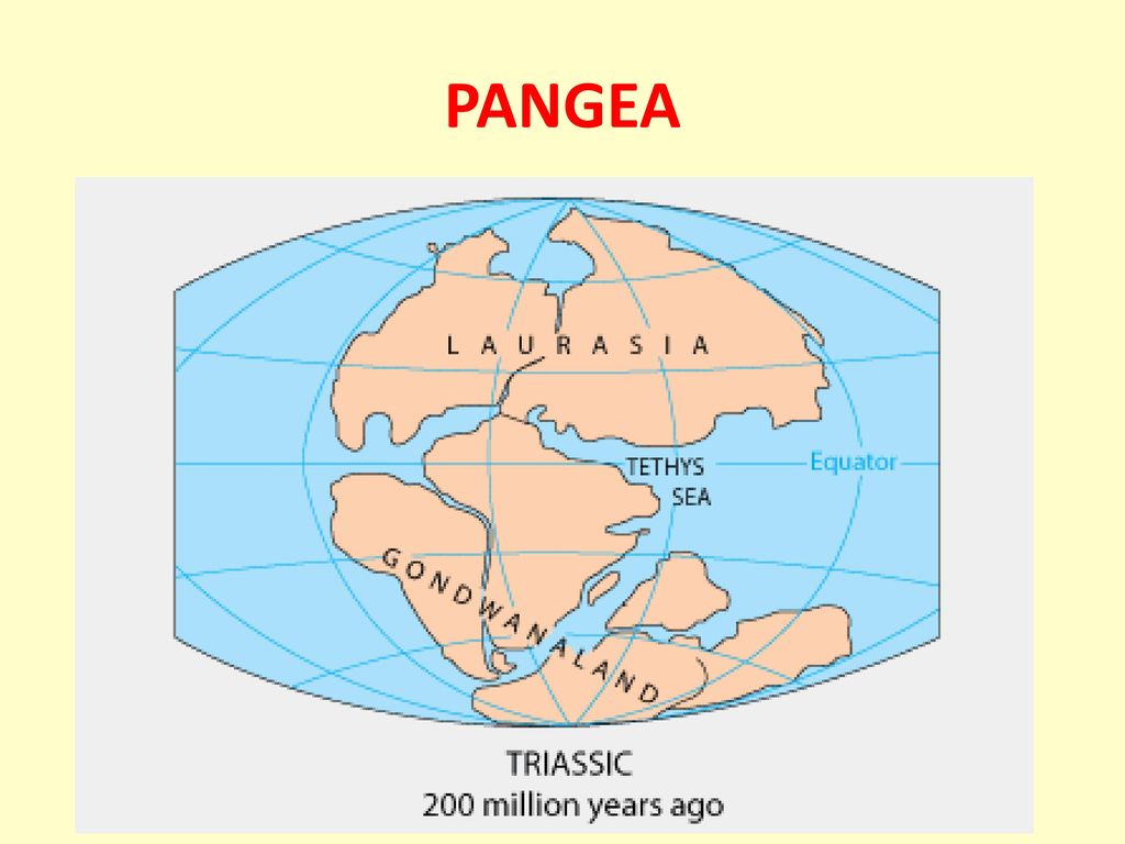 300 млн лет назад какая эра. Триасовый период материки. Пангея материк 200 млн лет назад. Триасовый период континенты. Материки в триасе.