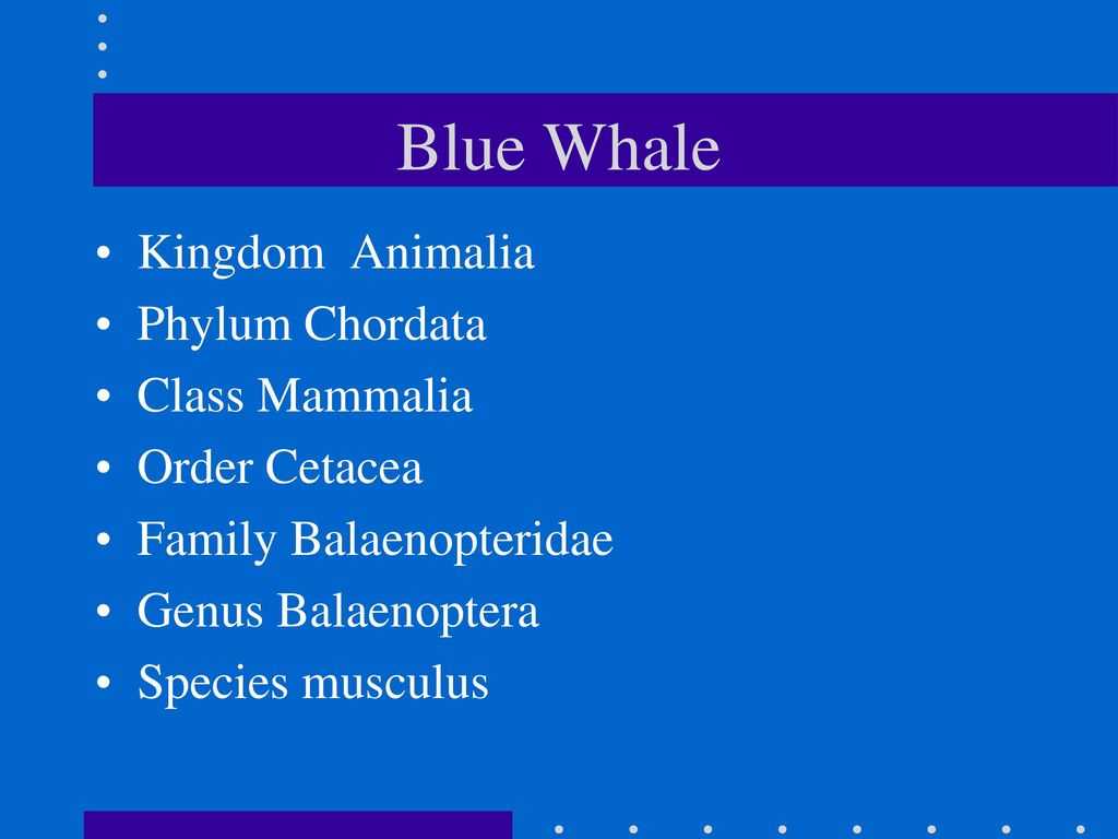 Ecology & Evolution Topic 4 - ppt download
