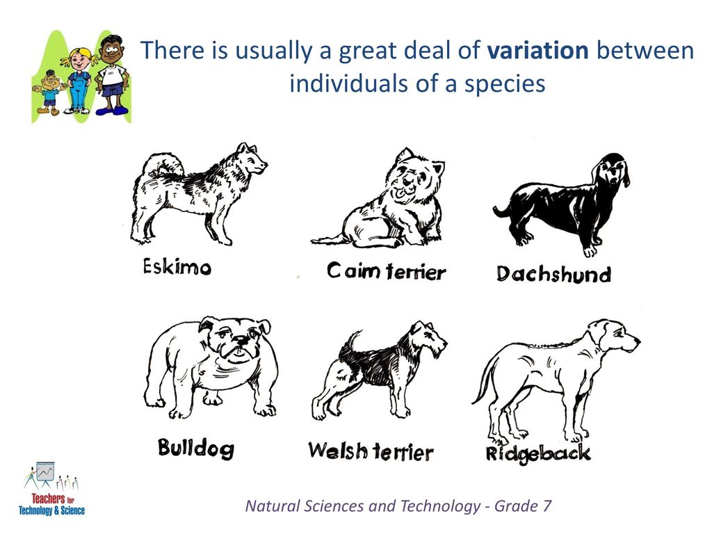 variation science