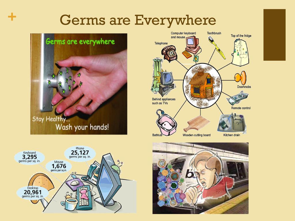 Germs перевод. Germs Lesson Plan 6 Grade. About Germs. About Germs ppt. Germ перевод.