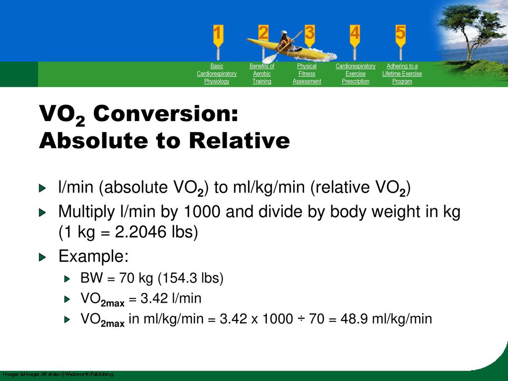 What Does Vo2 Max Of 42 Mlkgmin Mean