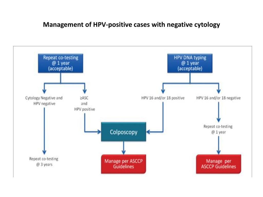 Pap smear interpretation ppt download