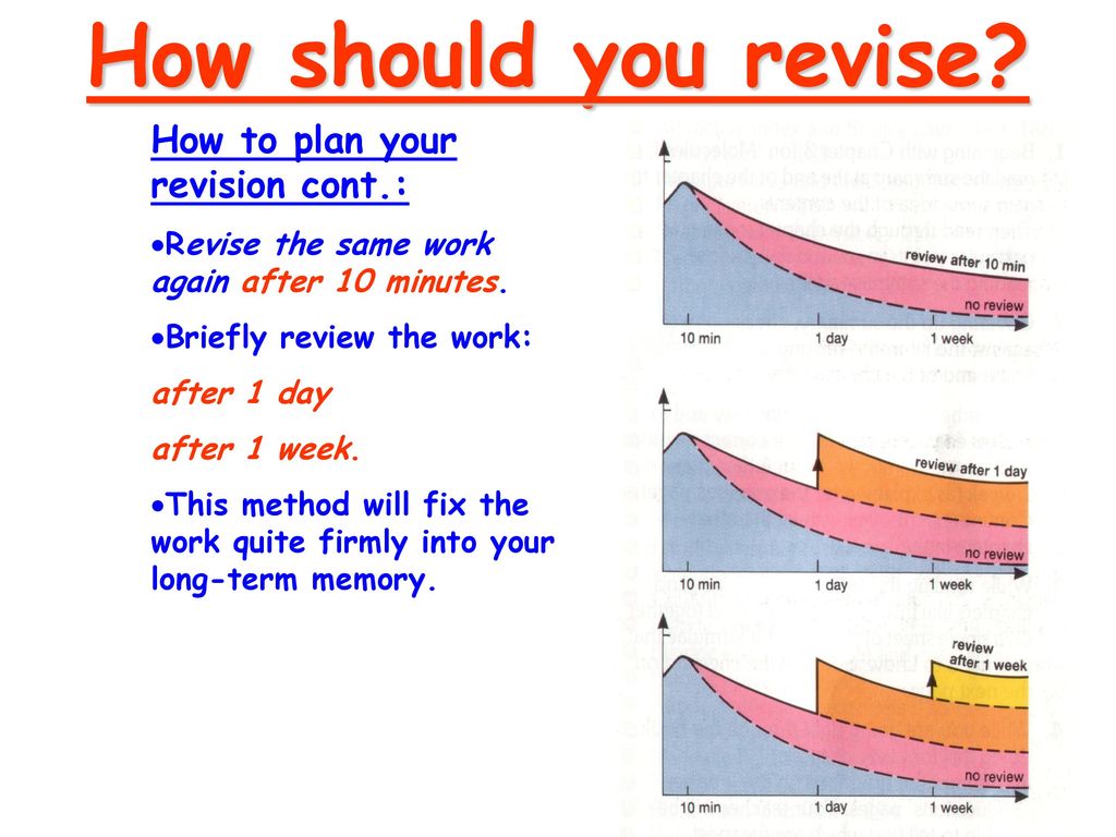 Revision Strategy Ppt Download revision-strategy-ppt-download