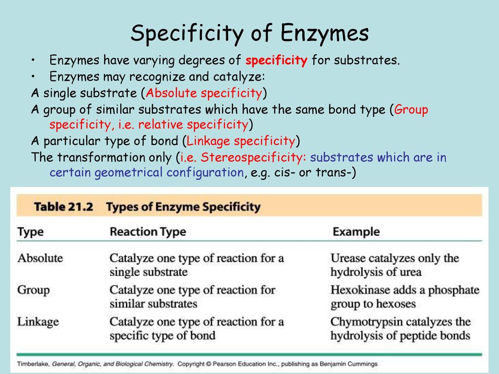 Enzymes Structure, Properties and Mechanisms of Activity ppt download