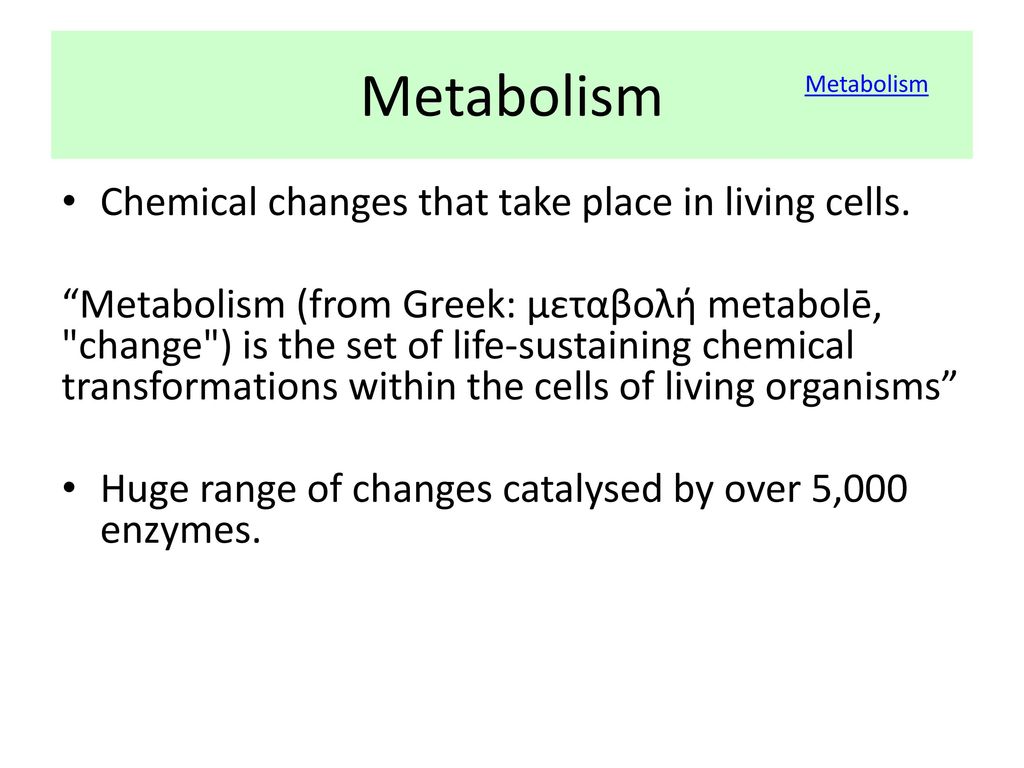 8.1 Metabolism Applications: Understanding: - ppt download