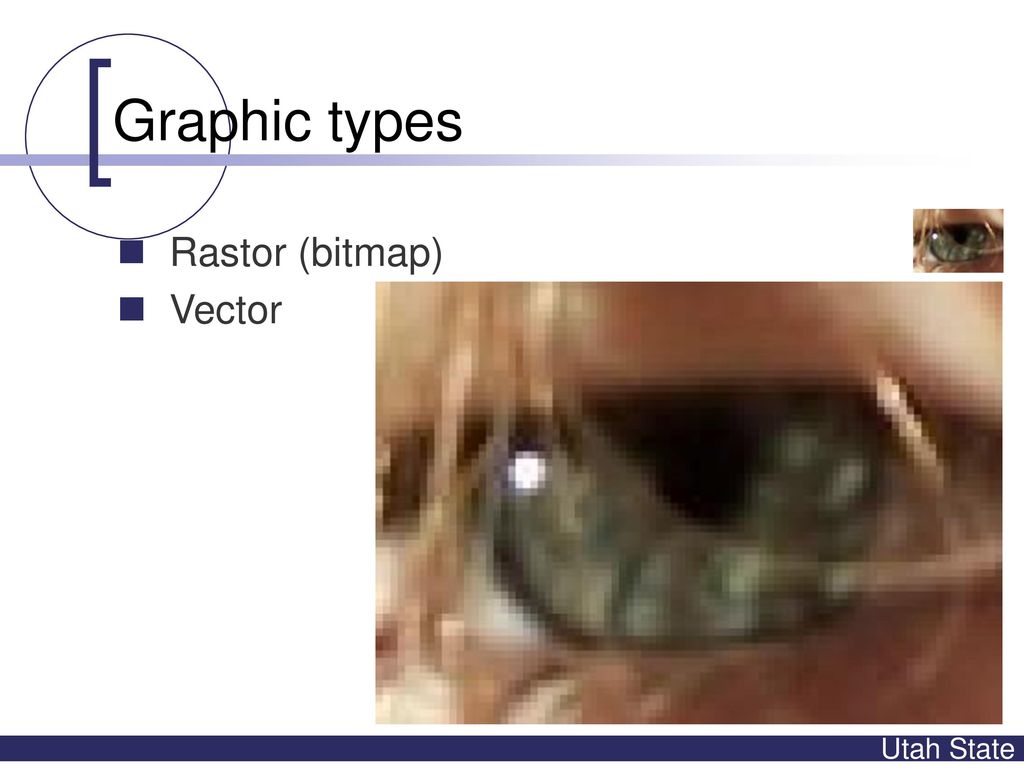 Graphic types Rastor (bitmap) Vector