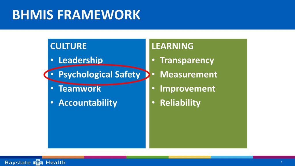 BHMIS FRAMEWORK CULTURE Leadership Psychological Safety Teamwork