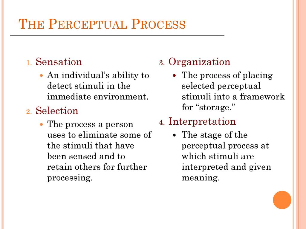 describe the perception process