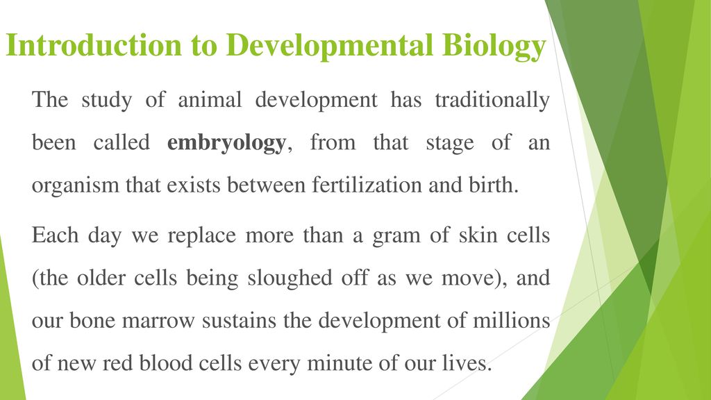 Introduction to Developmental Biology - ppt download