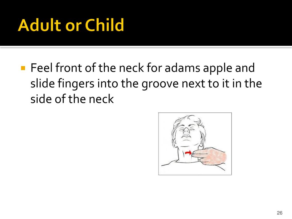 Adult or Child Feel front of the neck for adams apple and slide fingers into the groove next to it in the side of the neck.
