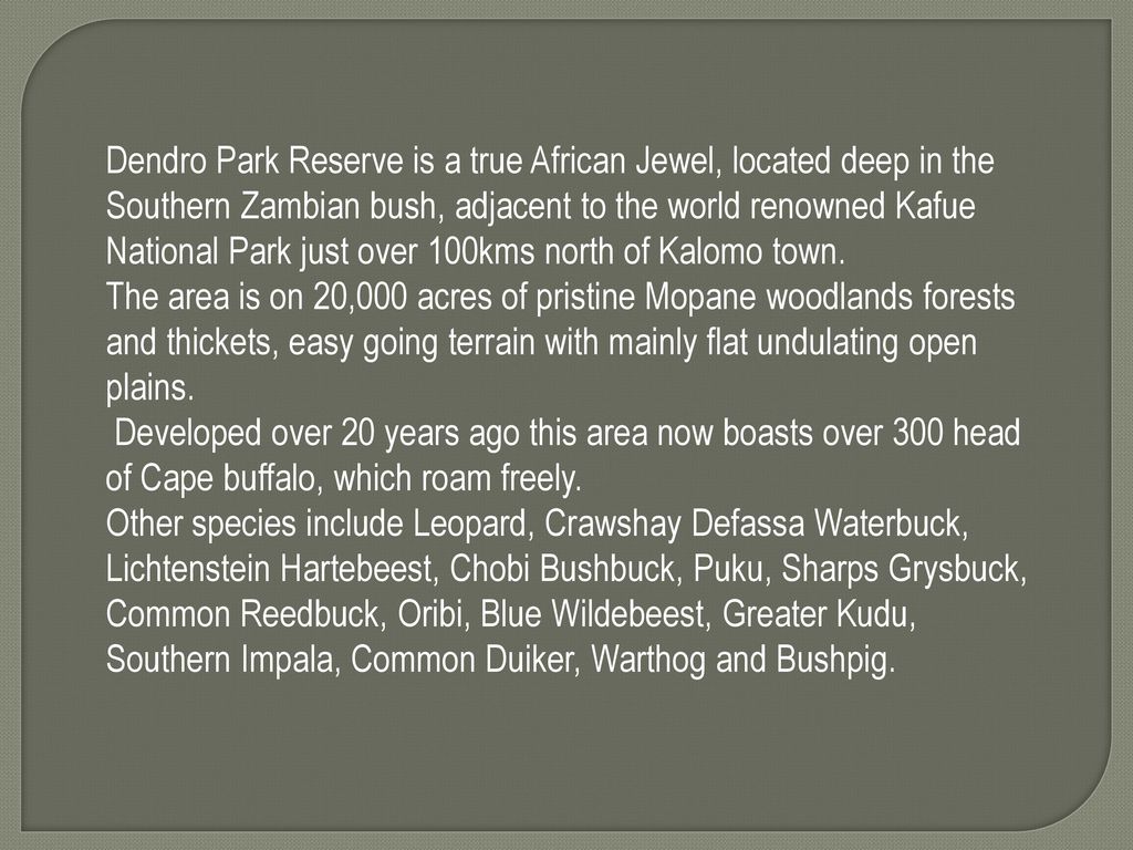 Dendro Park Reserve is a true African Jewel, located deep in the Southern Zambian bush, adjacent to the world renowned Kafue National Park just over 100kms north of Kalomo town.