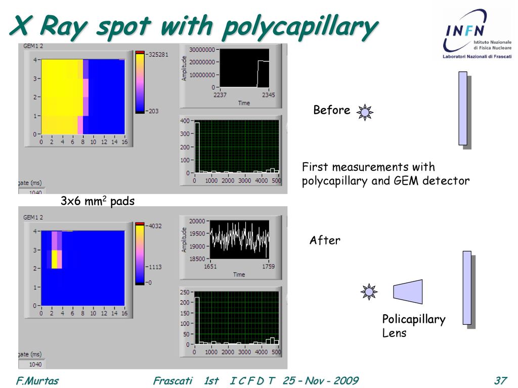 A GEM-BASED DETECTORS FOR BEAM MONITOR AND NEUTRON FLUXES DIAGNOSTICS ...