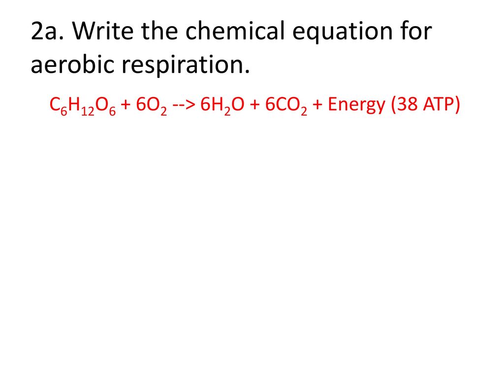Powerpoint Respiration Copy