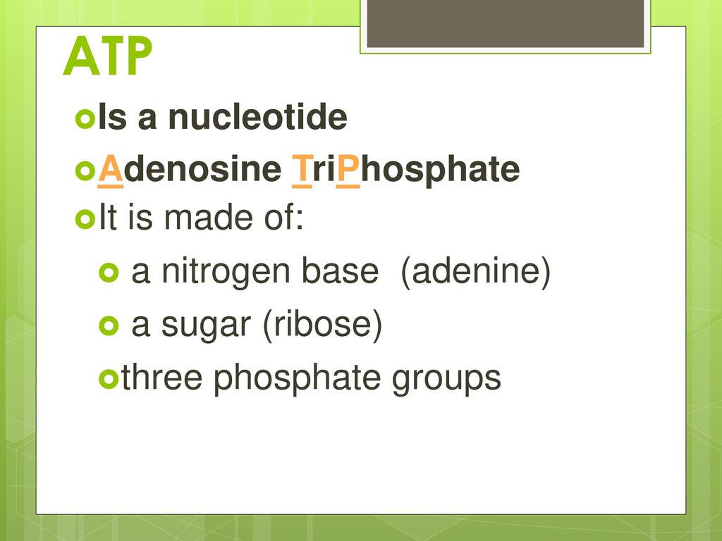 ATP Is a nucleotide Adenosine TriPhosphate It is made of: