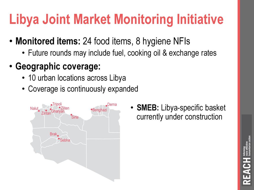 reach-market-monitoring-programmes-ppt-download