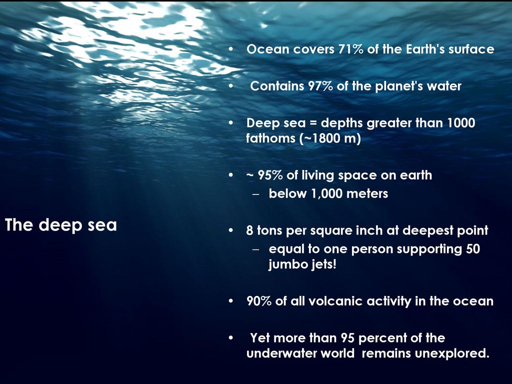 Symbiosis and the Deep Sea - ppt download
