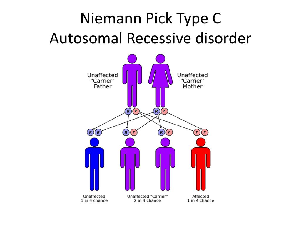 Niemann-Pick type C disease is associated with mtDNA disorganization.