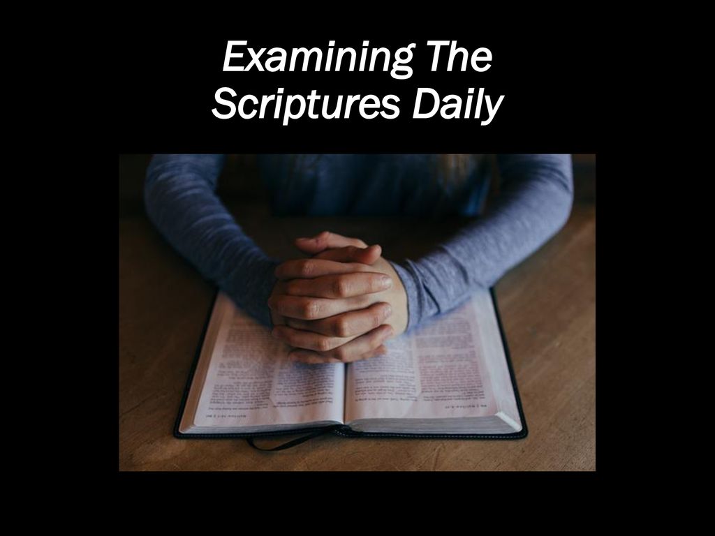 Examining The Scriptures Daily