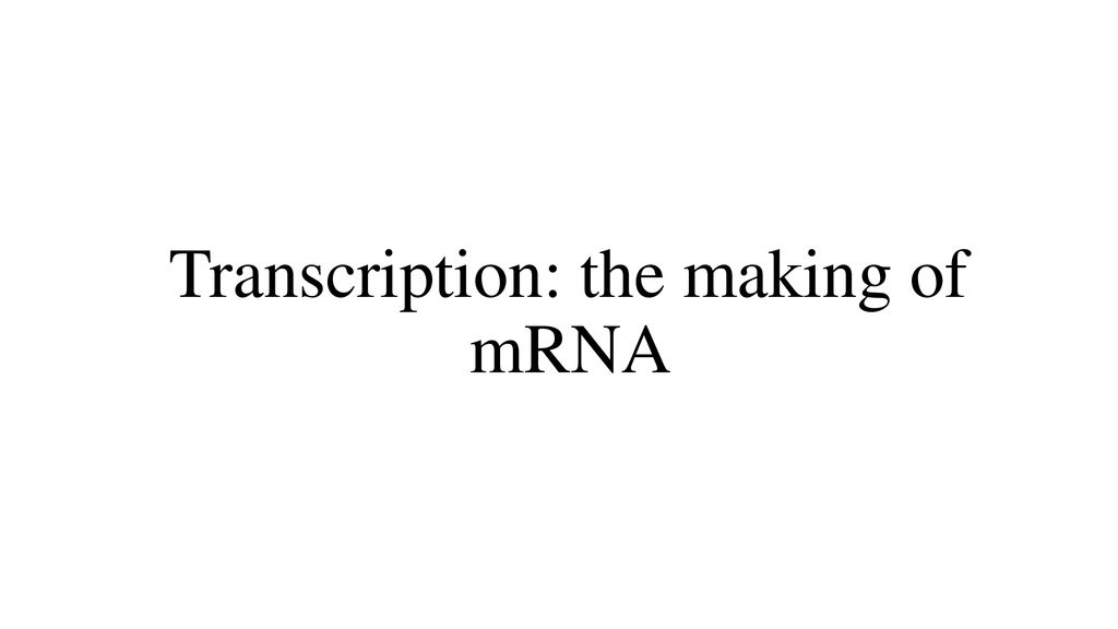 Warm-up 12 8 2016 Which Sequence Is Dna, And Which Is Rna? How Do You 