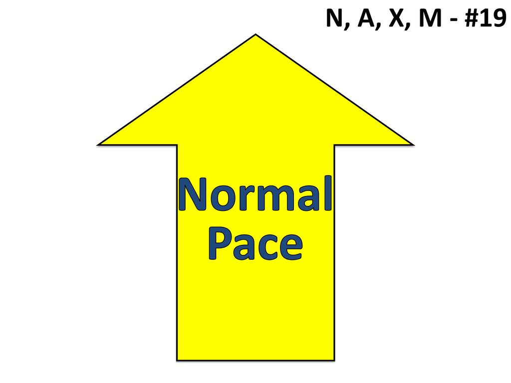 N, A, X, M - #19 Normal Pace