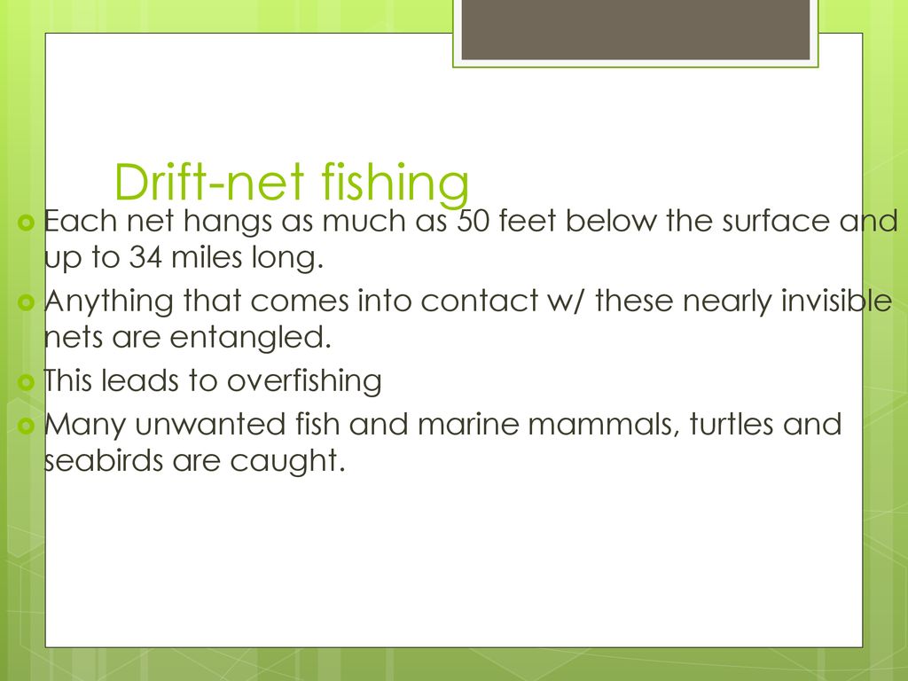 https://slideplayer.com/slide/13713471/85/images/49/Drift-net+fishing+Each+net+hangs+as+much+as+50+feet+below+the+surface+and+up+to+34+miles+long..jpg