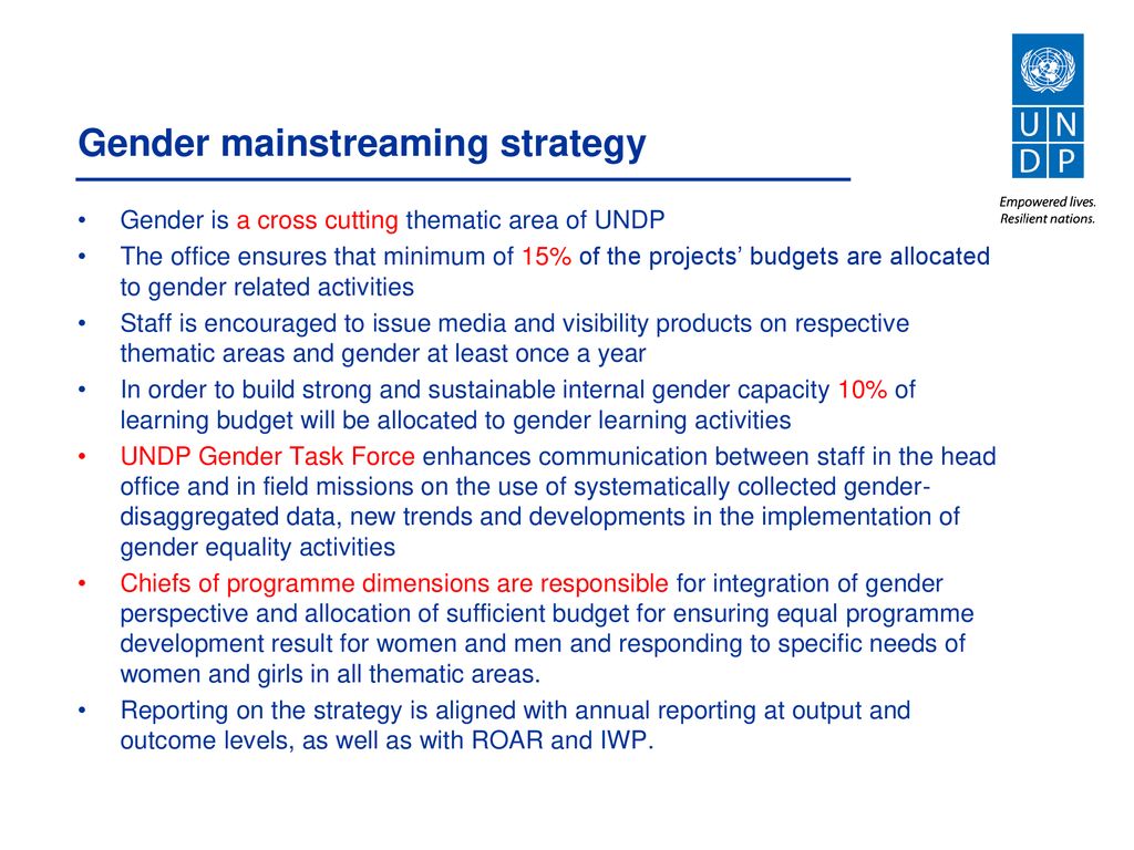 gender in UNDP - ppt download